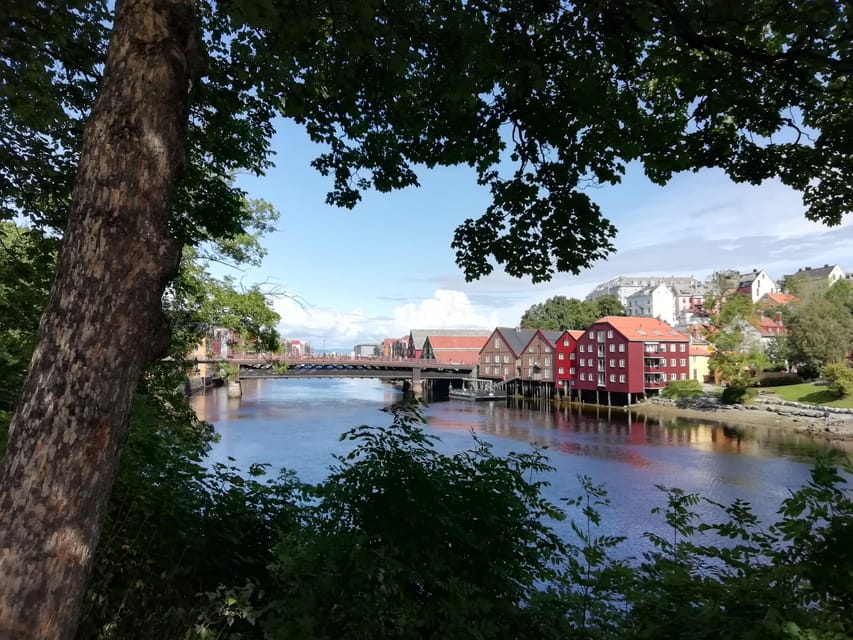 Trondheim : Explore the city of kings with a local guide - Following the main avenue to Nidaros Cathedral