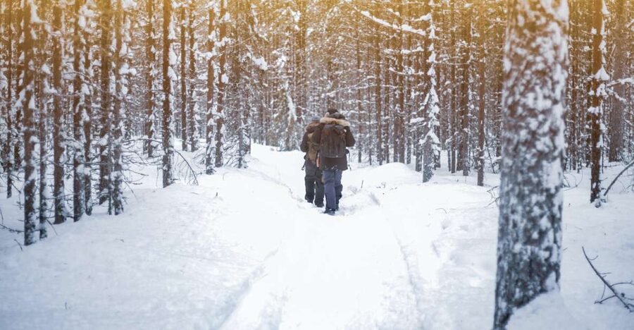 Vikakongas Hike: Nature and Silence - A quiet Arctic walk beyond Rovaniemi