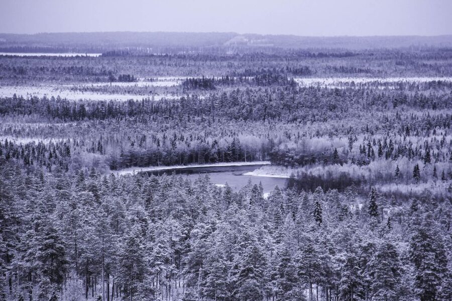 Vikakongas Hike: Nature and Silence - From your hotel to the Vikaköngäs trail