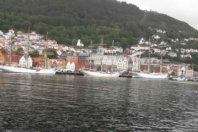 Walking tour: Medieval Spirit of Bergen + sweet Arctic gifts - A smart first walk through Bergen’s old center