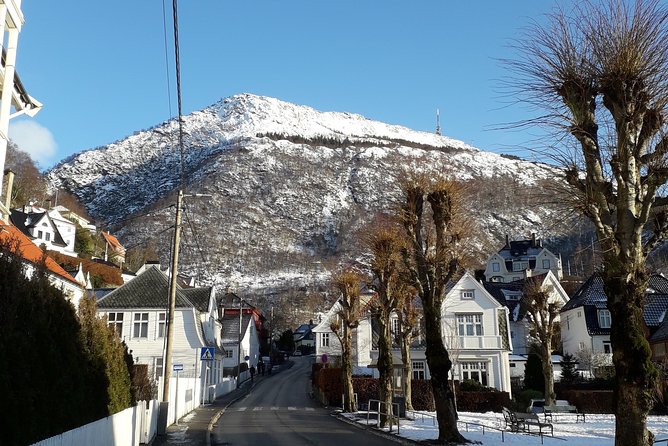Walking tour: Medieval Spirit of Bergen + sweet Arctic gifts - Bryggen: Bergen’s wooden Hanseatic core