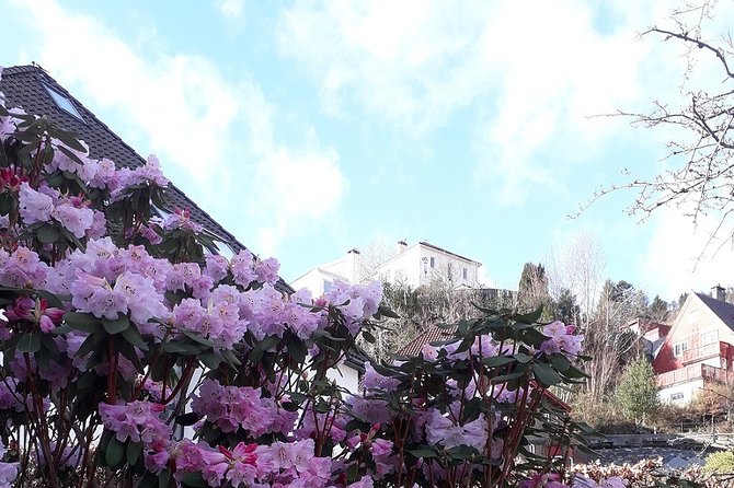 Walking tour: Medieval Spirit of Bergen + sweet Arctic gifts - St. Mary’s Church and the German connection