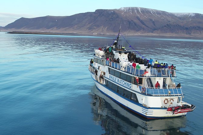 Whale-Watching Boat Tour with Expert Guide from Reykjavik - Choosing between the 2.5-hour and 3.5-hour boats