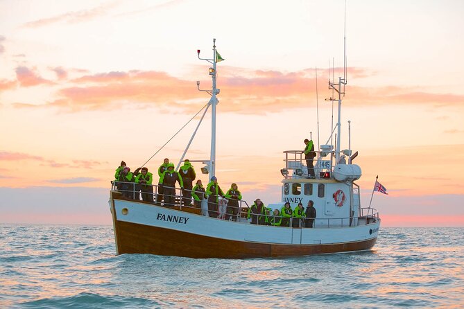 Whale Watching in Husavik - Is $113 a fair price?