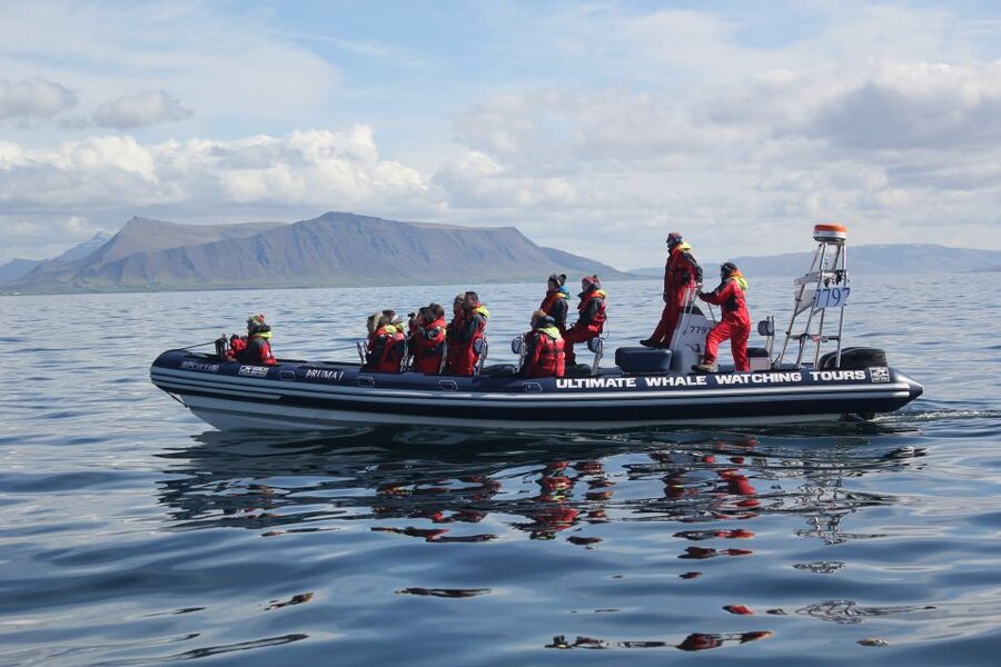 Whale Watching in Reykjavik by Speedboat - Returning past the Sun Voyager and Harpa