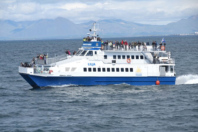 Whale Watching Tour from Akureyri City Central - What happens during the two-and-a-half-hour search