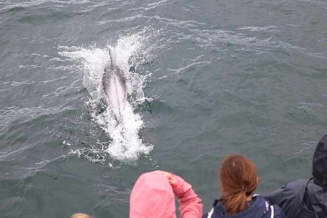 Whale Watching Tour with Professional Guide from Reykjavik - Guides who keep the waiting time worthwhile