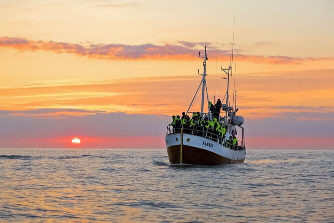 Whales and Puffins Tour from Husavik - Starting from Húsavík harbor