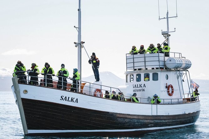 Whales and Puffins Tour from Husavik - Weather, cancellations, and changes