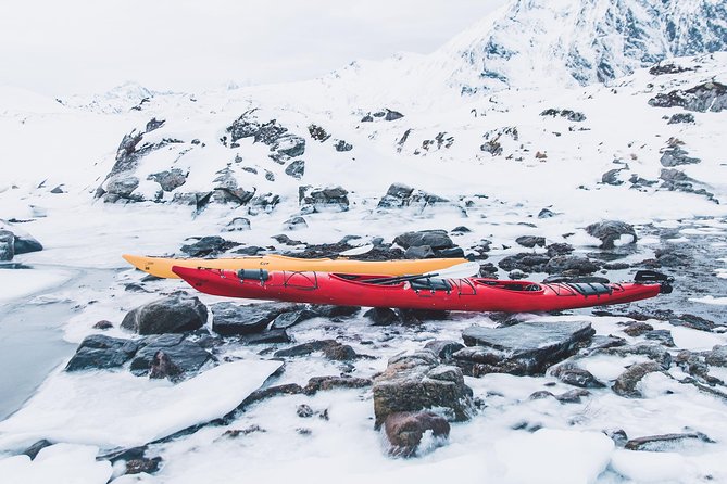 Winter Half Day Kayak Tour - Paddling beside the frozen coastline