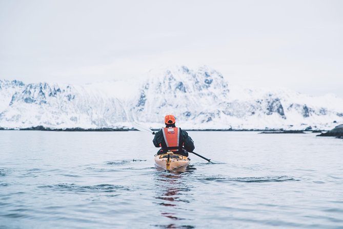Winter Half Day Kayak Tour - What the $118.45 price represents