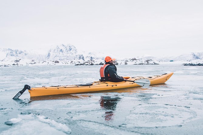 Winter Half Day Kayak Tour - Who should book this winter kayak tour