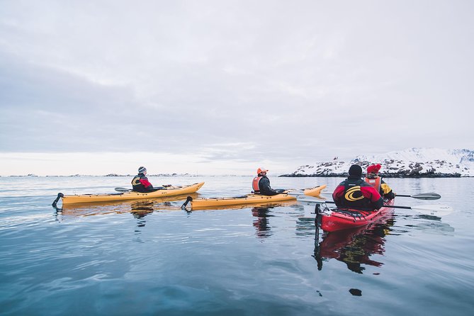 Winter Half Day Kayak Tour - Practical details before you reserve